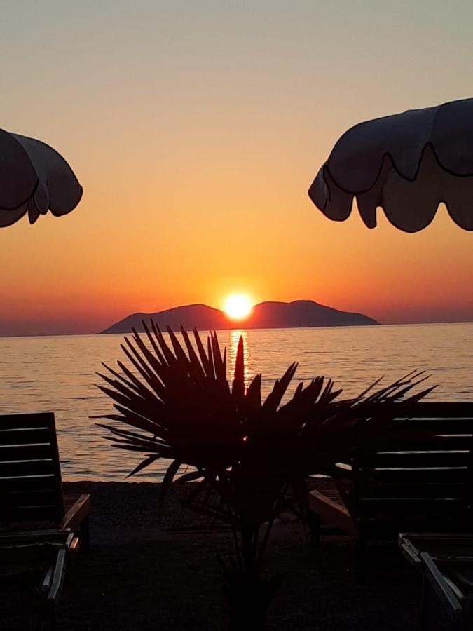 Palmanova Beach Mardok Kanine Exterior foto